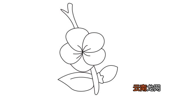梅花简笔画教程梅花简笔画画法