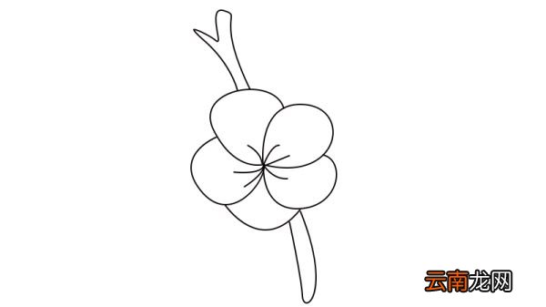 梅花简笔画教程梅花简笔画画法