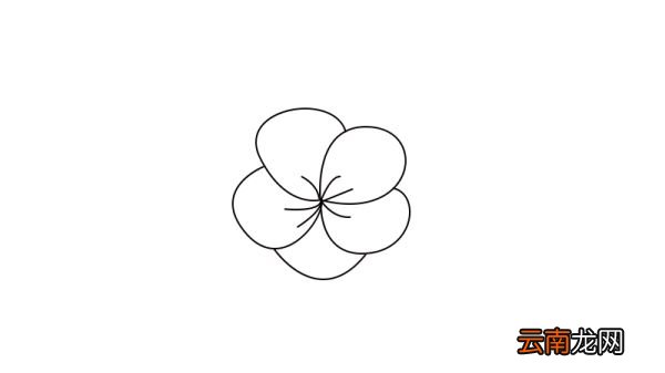 梅花简笔画教程梅花简笔画画法