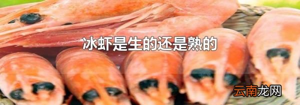 冰虾是生的还是熟的