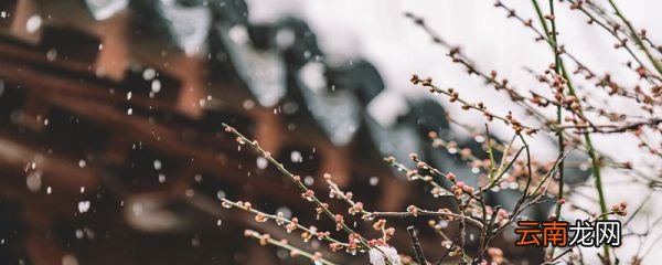 北风呼呼是什么季节 北风呼呼的季节是什么季节