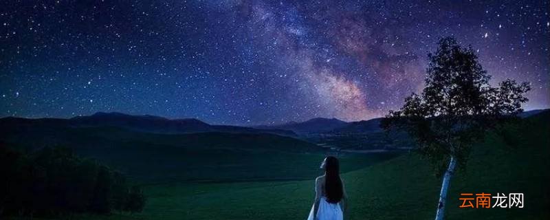仲夏夜的爱情寓意
