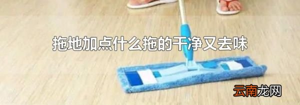 拖地加点什么拖的干净又去味