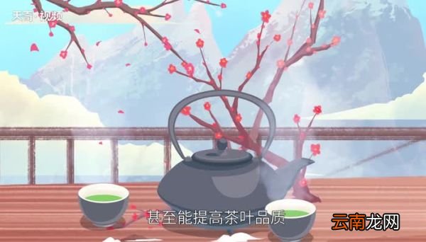 茶叶如何保存 茶叶如何保存才能不变质