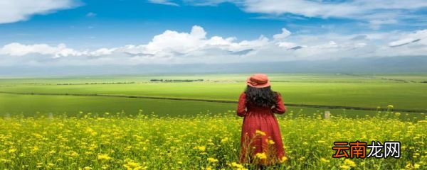 女人出轨婚姻能继续吗女人出轨婚姻必须是离婚吗
