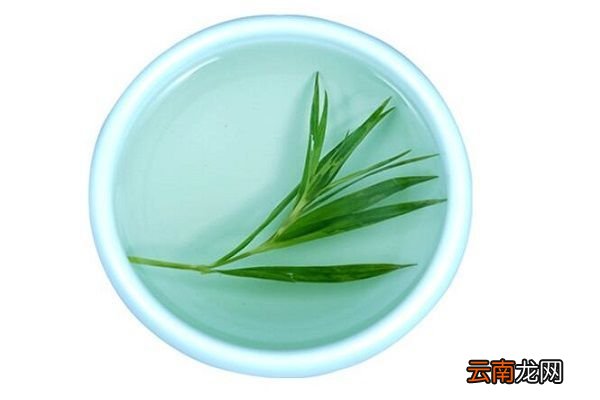 喝竹叶水的功效与作用 喝竹叶茶的功效与作用