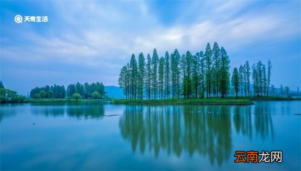 中国四大淡水湖是哪四个 中国四大淡水湖分别是哪四个