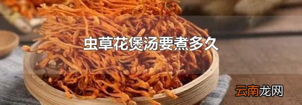 虫草花煲汤要煮多久