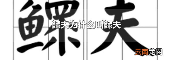 鳏夫为什么叫鳏夫