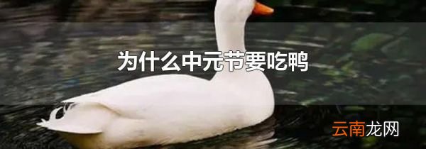 为什么中元节要吃鸭