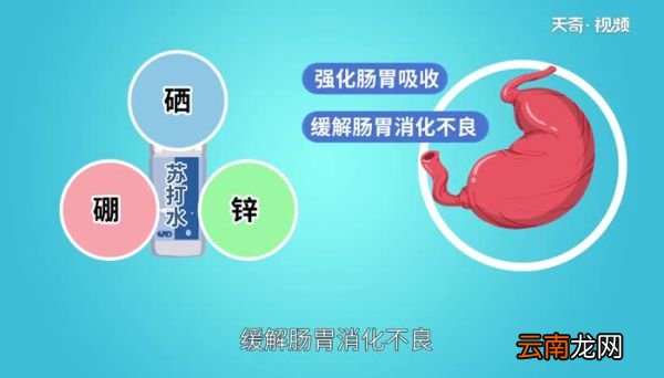 苏打水有什么作用和功效 苏打水有什么作用