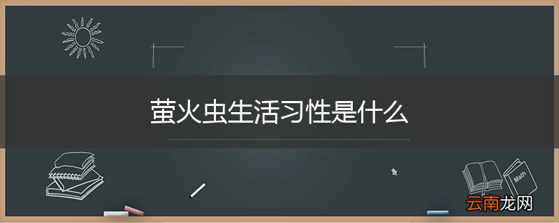 萤火虫生活习性是什么