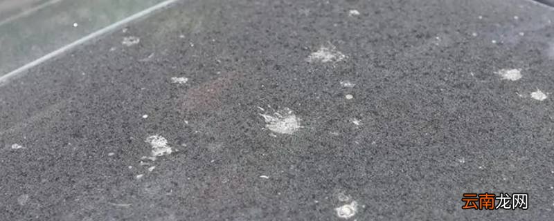 为什么太阳晒过的水渍擦不掉