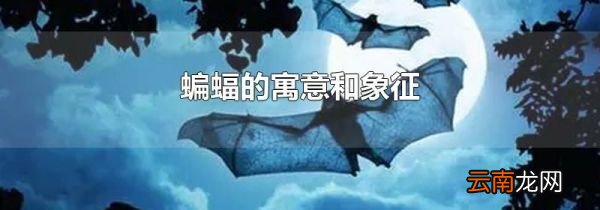 蝙蝠的寓意和象征