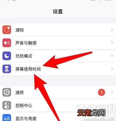 苹果手机取消下载应用密码的方法