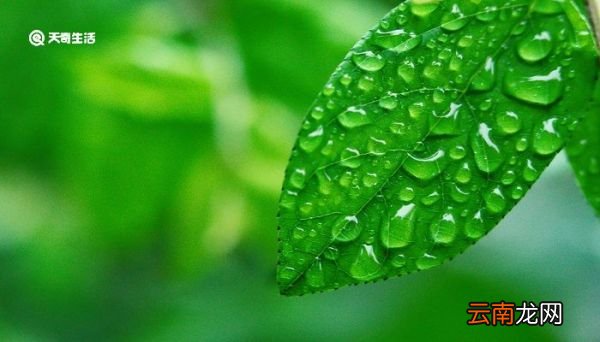 雨热同期的气候有哪些 有几个是雨热同期的气候