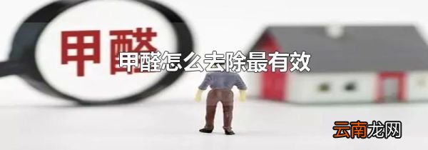 甲醛怎么去除最有效