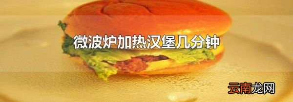 微波炉加热汉堡几分钟