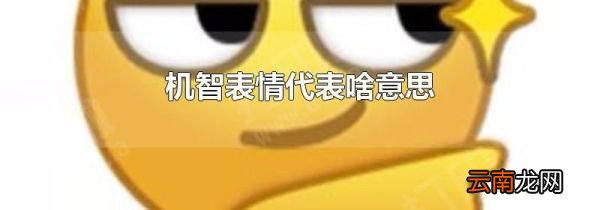 机智表情代表啥意思