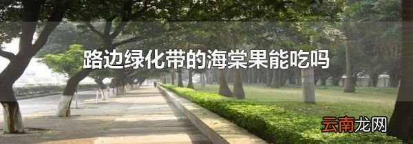 路边绿化带的海棠果能吃吗