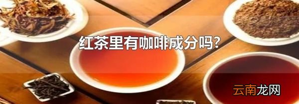 红茶里有咖啡成分吗?