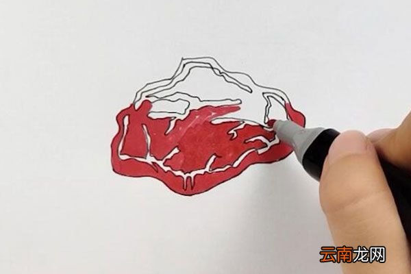 猪肉简笔画