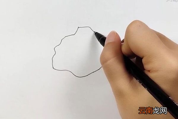 猪肉简笔画