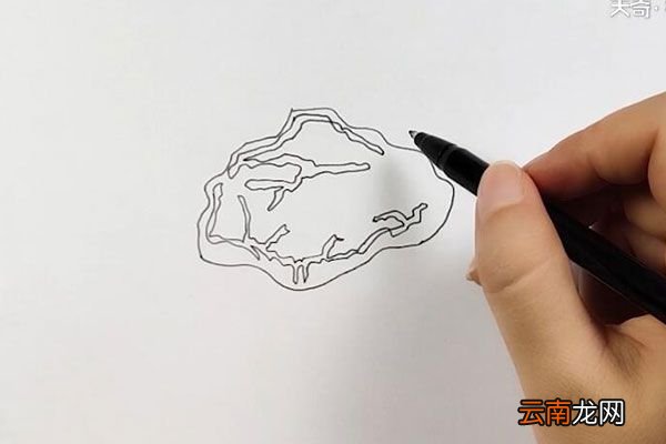 猪肉简笔画