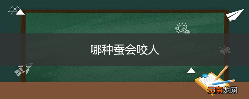 哪种蚕会咬人