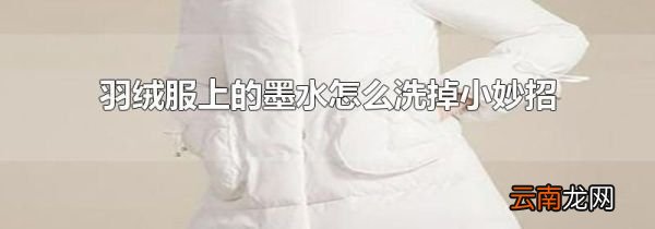 羽绒服上的墨水怎么洗掉小妙招