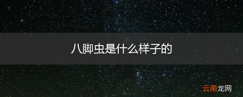 八脚虫是什么样子的