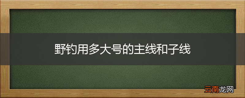 野钓用多大号的主线和子线