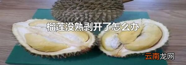 榴莲没熟剥开了怎么办