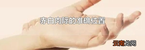 赤白肉际的准确位置