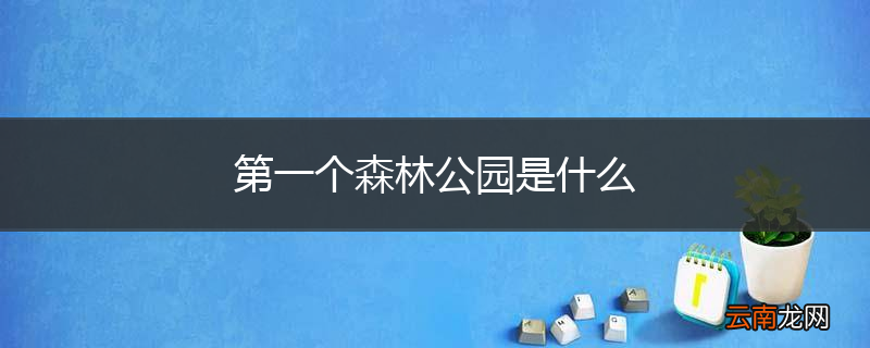 第一个森林公园是什么
