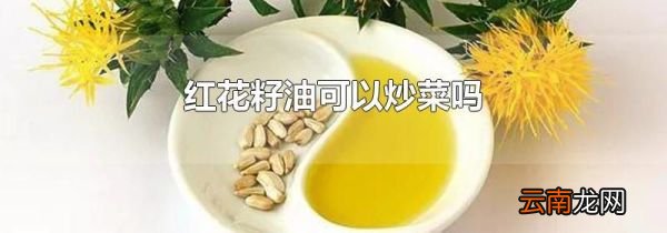 红花籽油可以炒菜吗