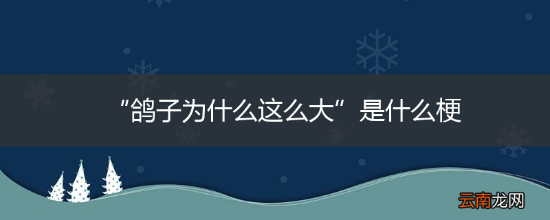 “鸽子为什么这么大”是什么梗