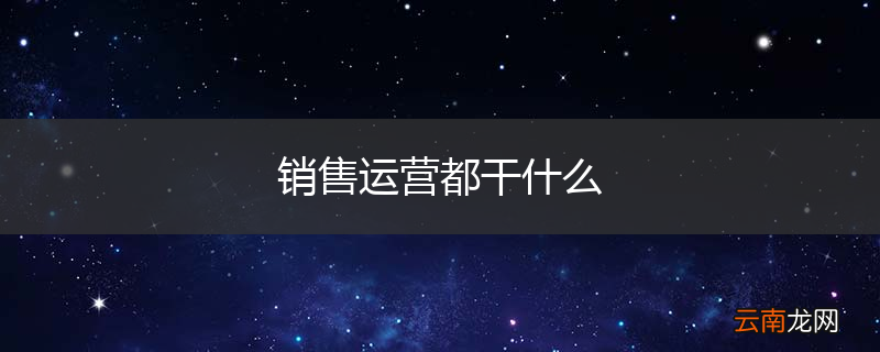 销售运营都干什么