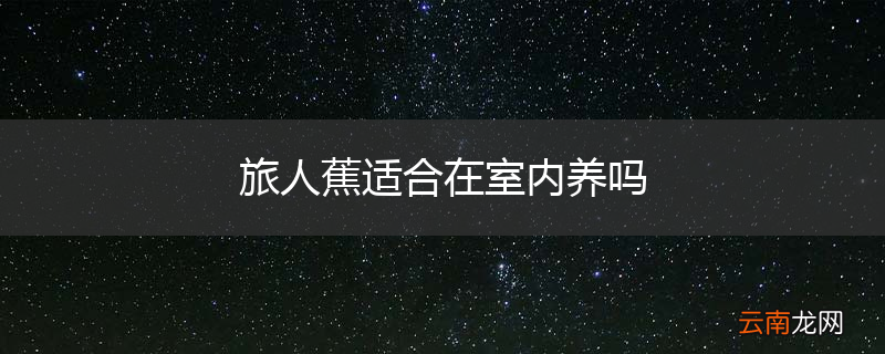 旅人蕉适合在室内养吗