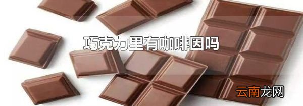 巧克力里有咖啡因吗