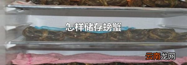 怎样储存螃蟹