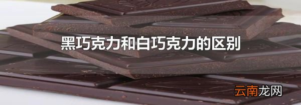 黑巧克力和白巧克力的区别