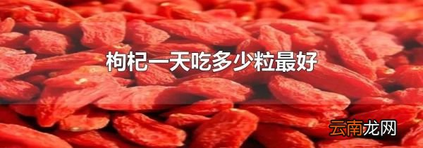 枸杞一天吃多少粒最好