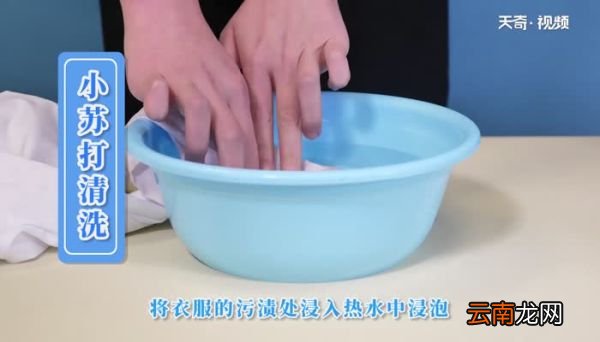 杨梅汁弄到白色衣服上怎么清洗 衣服上的杨梅汁怎么洗