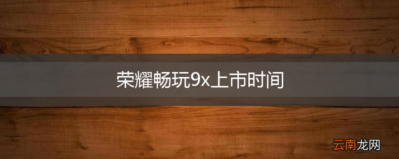 荣耀畅玩9x上市时间