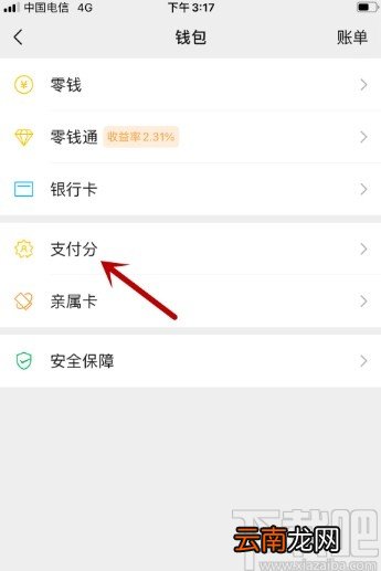 微信APP查看支付分的方法