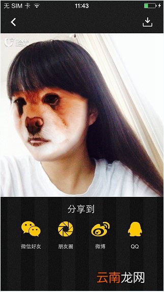 脸优详细使用步骤