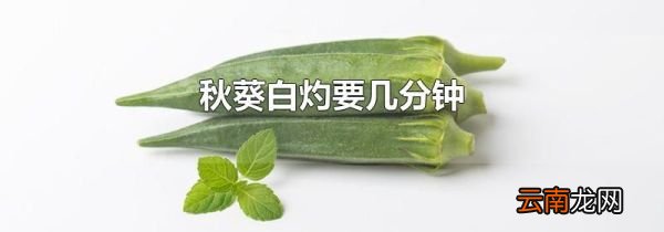 秋葵白灼要几分钟