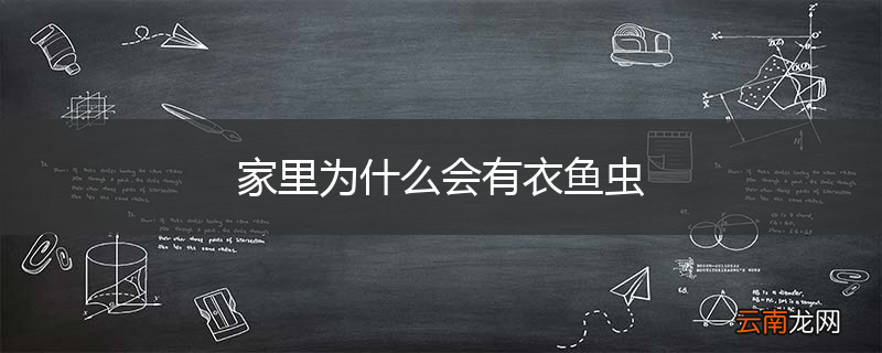 家里为什么会有衣鱼虫