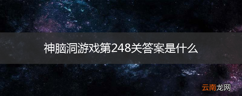 神脑洞游戏第248关答案是什么